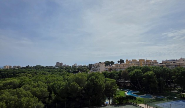 Resale - Apartment -
Orihuela Costa - Altos De Campoamor