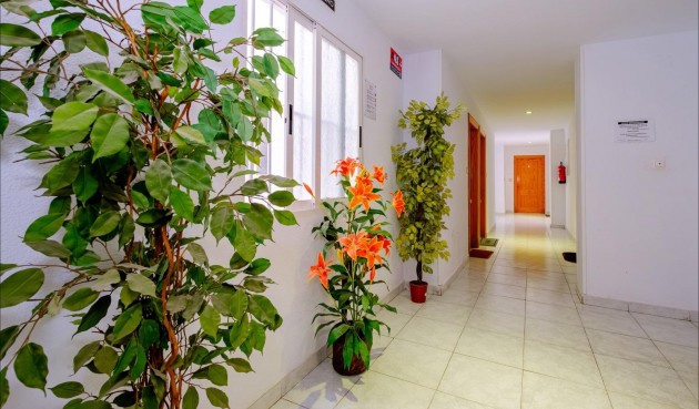 Brukt - Apartment -
Torrevieja - Playa del Cura