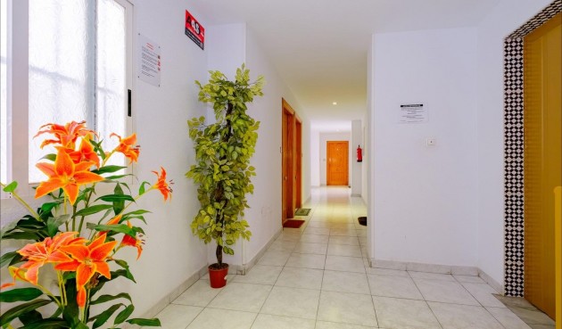 Brukt - Apartment -
Torrevieja - Playa del Cura