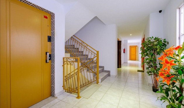 Brukt - Apartment -
Torrevieja - Playa del Cura