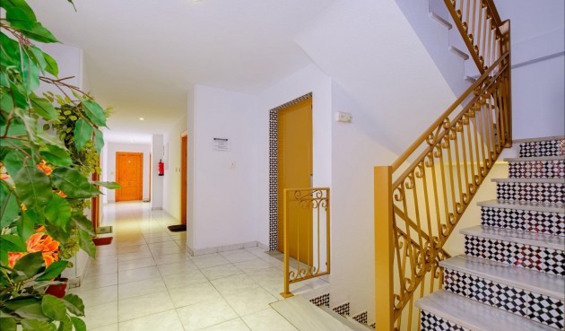 Brukt - Apartment -
Torrevieja - Playa del Cura