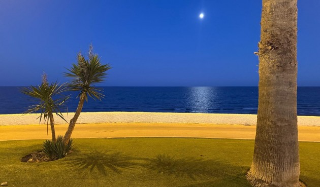 Återförsäljning - Bungalow -
Pilar de la Horadada - Costa Blanca