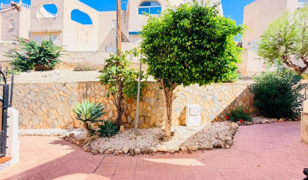 Resale - Apartment -
San Miguel de Salinas - Inland