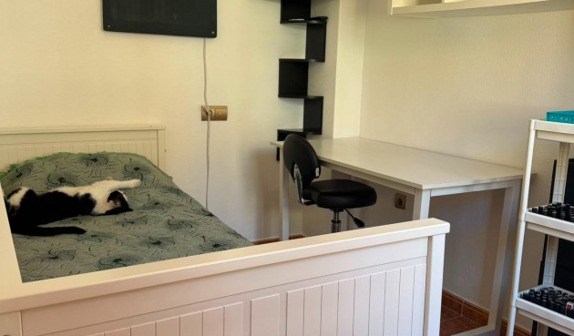 Brukt - Bungalow -
Torrevieja - La Mata