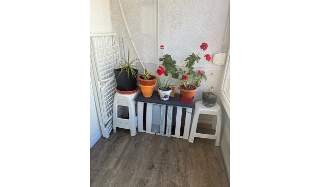 Reventa - Apartment -
Torrevieja - Centro