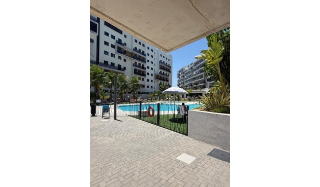 Reventa - Apartment -
Dehesa de Campoamor - Costa Blanca