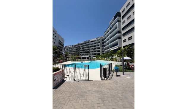 Reventa - Apartment -
Dehesa de Campoamor - Costa Blanca