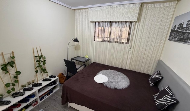 Brukt - Apartment -
Torrevieja - La Siesta - El Salado - Torreta