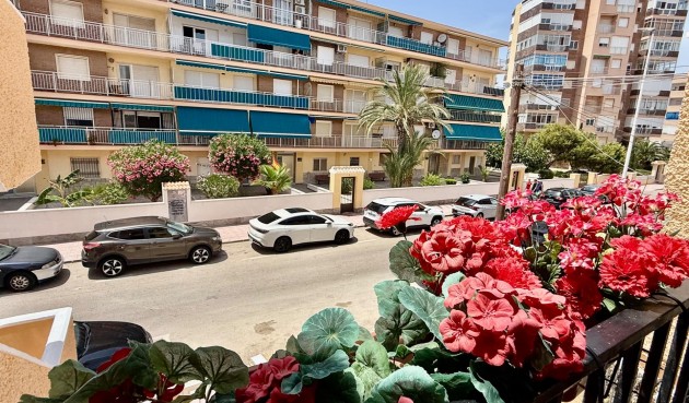 Reventa - Apartment -
Torrevieja - Los Europeos