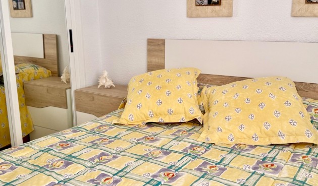 Reventa - Apartment -
Torrevieja - Los Europeos