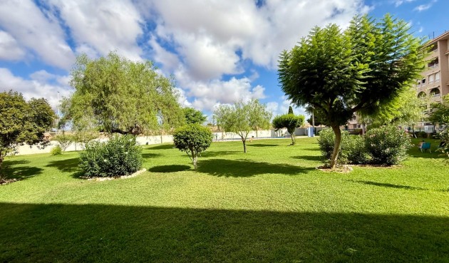 Brukt - Apartment -
Torrevieja - PARQUE DE LAS NACIONES
