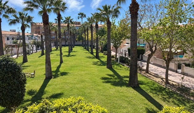 Brukt - Apartment -
Orihuela Costa - La Regia