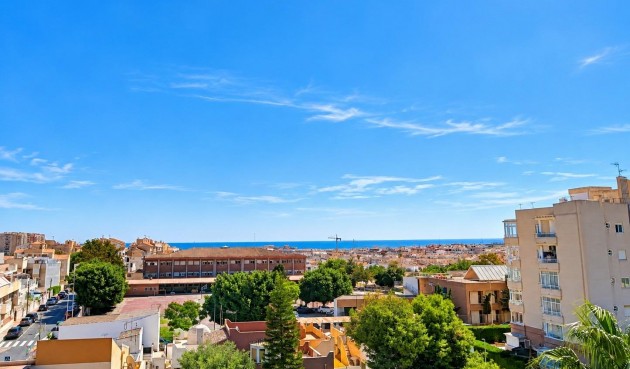 New Build - Apartment -
Torrevieja - Nueva Torrevieja