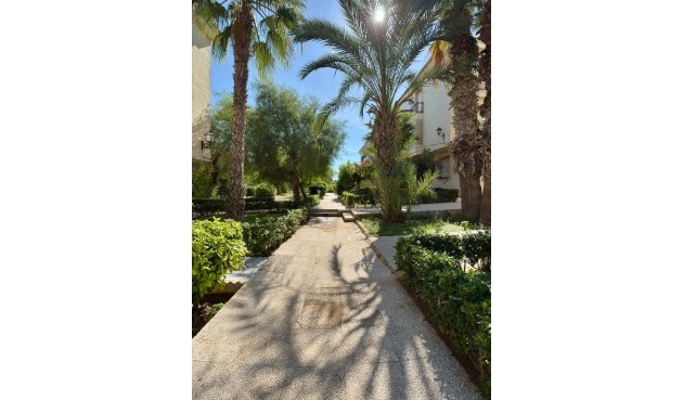 Reventa - Apartment -
Torrevieja - Costa Blanca