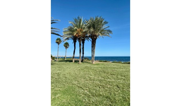 Reventa - Apartment -
Torrevieja - Costa Blanca