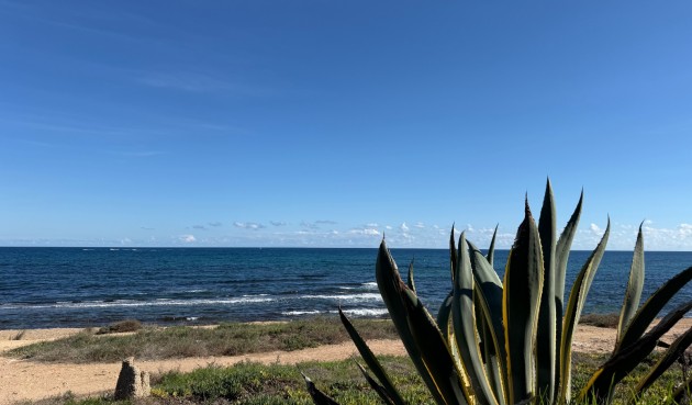 Reventa - Apartment -
Torrevieja - Costa Blanca