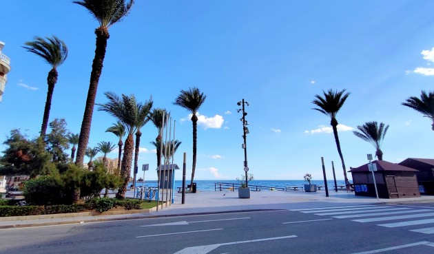 Brukt - Apartment -
Torrevieja - Costa Blanca
