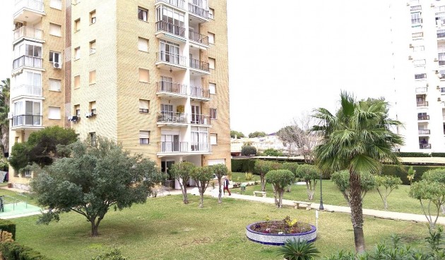 Reventa - Apartment -
Orihuela Costa - Altos De Campoamor